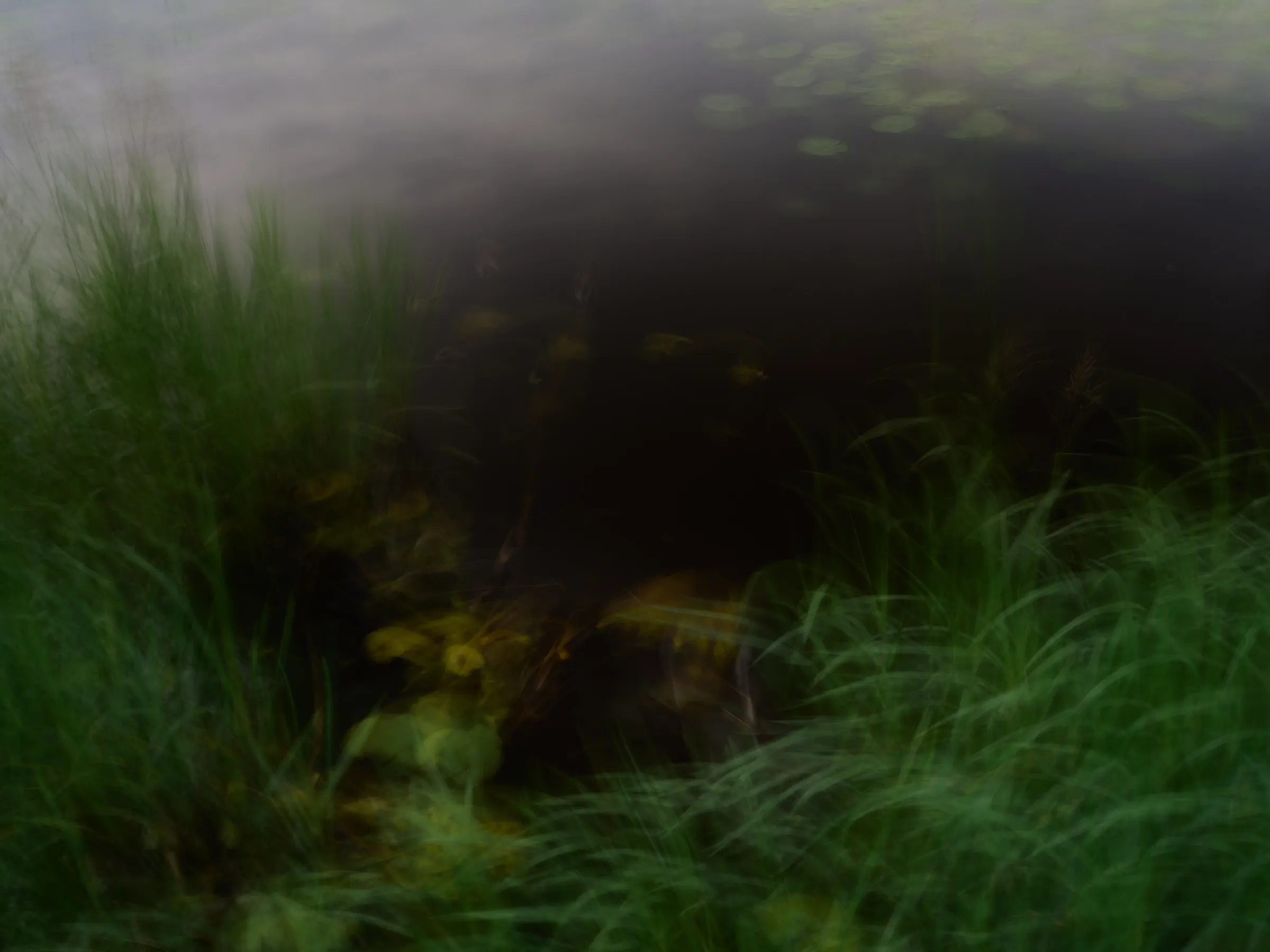 HEIMAT, Teos 009, 2026