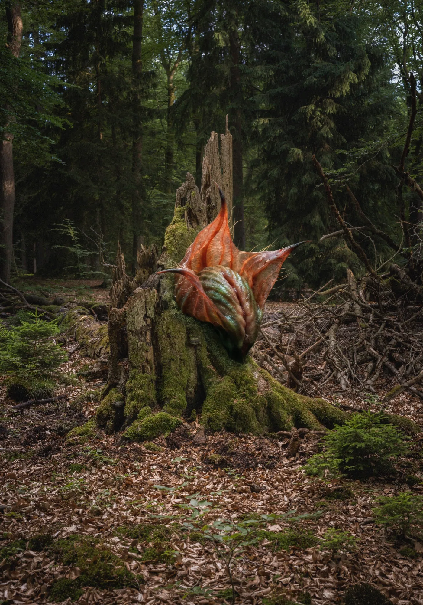 Dunkles Waldbild aus dem Lüßwald mit einer halb verborgenen, erfundenen Form