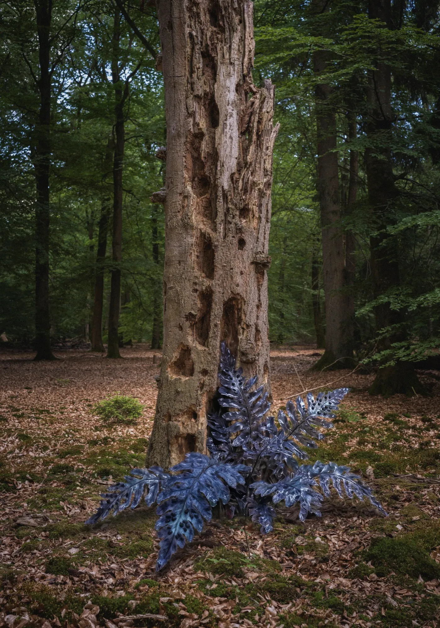 Dunkles Waldbild aus dem Lüßwald mit einem durchscheinenden, erfundenen Farnwesen im Unterholz