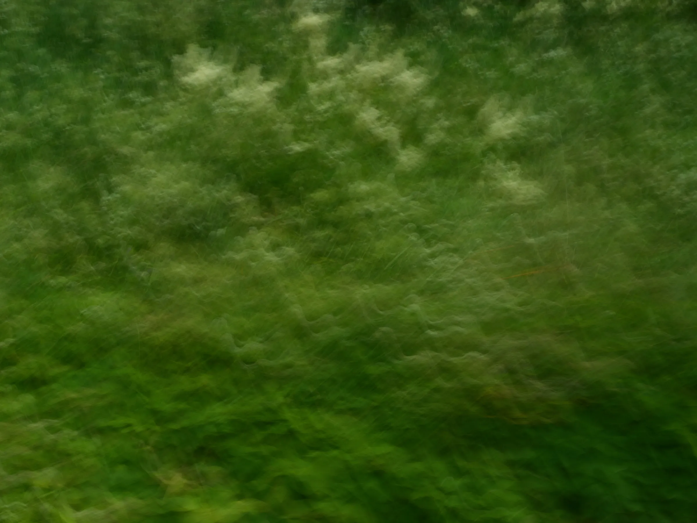 HEIMAT, Teos 038, 2026
