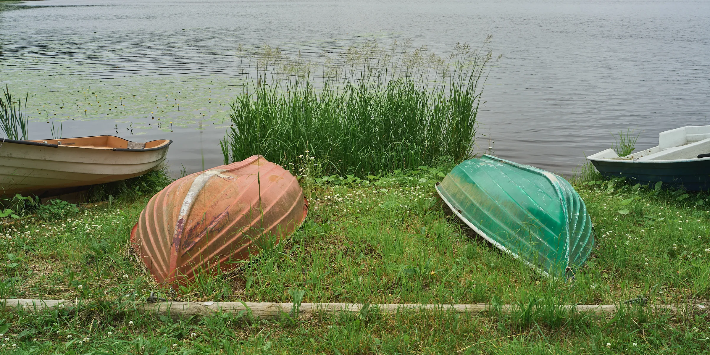Zwei Ruderboote im hohen Ufergras vor dem Wasser