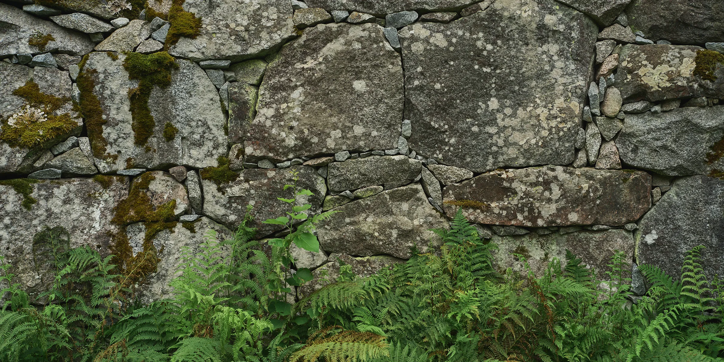 HIDDEN PLACES, Teos 083, 2026