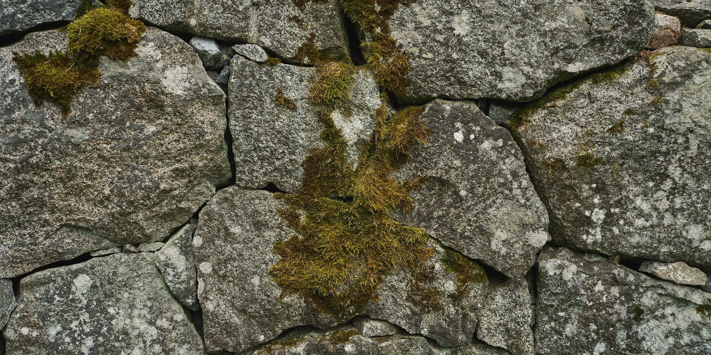HIDDEN PLACES, Teos 087, 2026