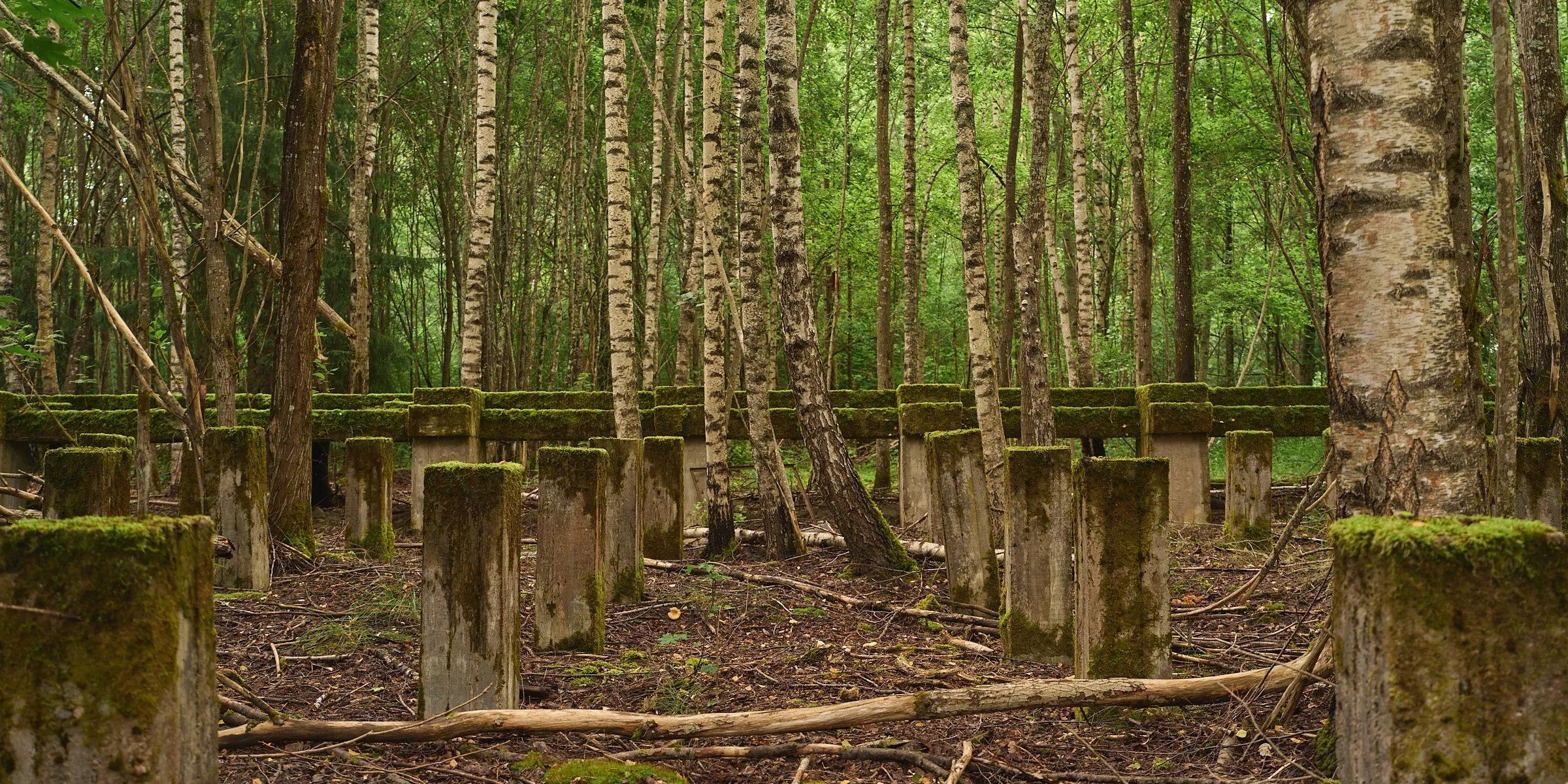 HIDDEN PLACES, Teos 094, 2026