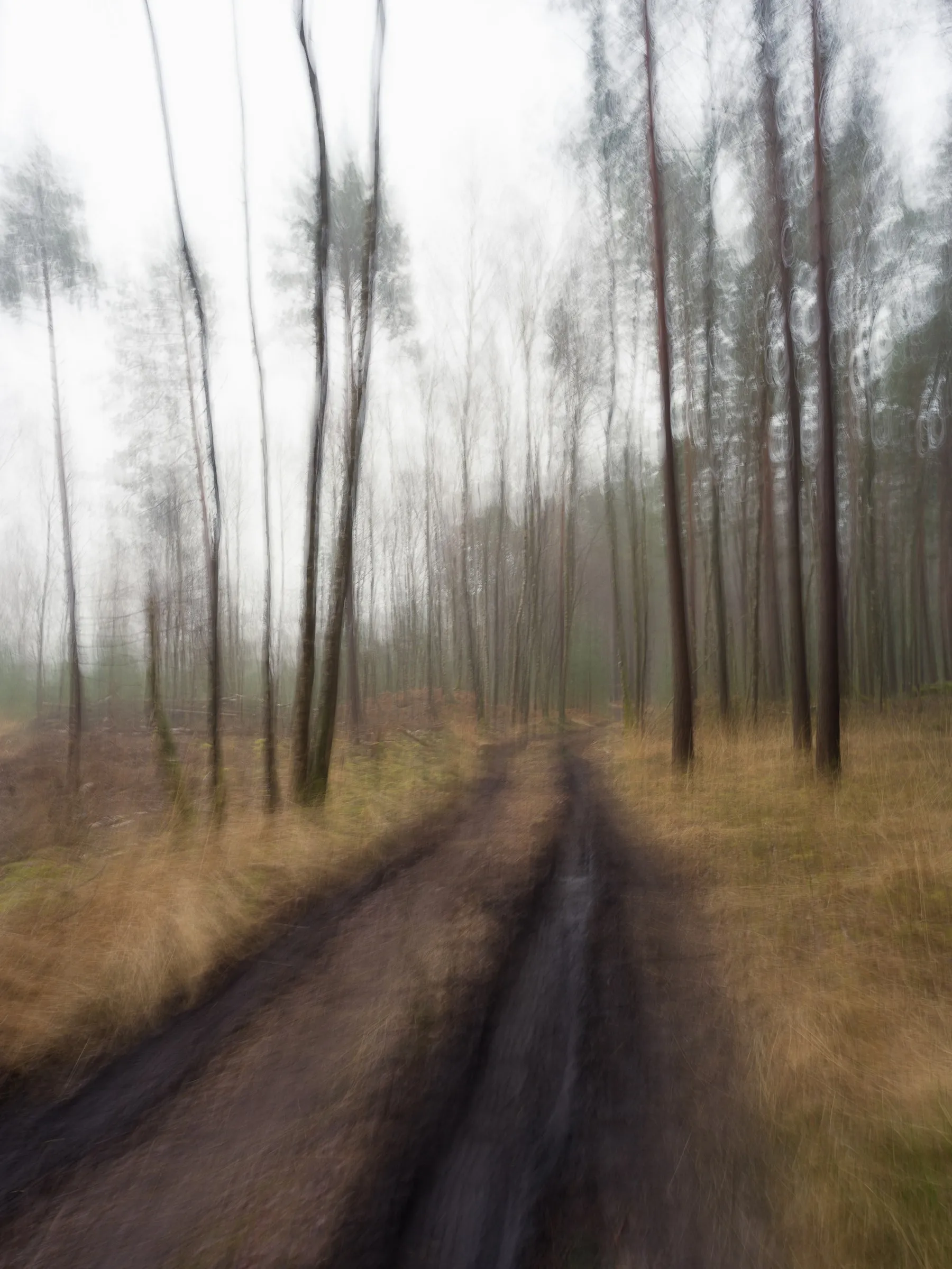 Fließende, aufgelöste Landschaft, Bewegung in der Belichtung, Serie Heimat