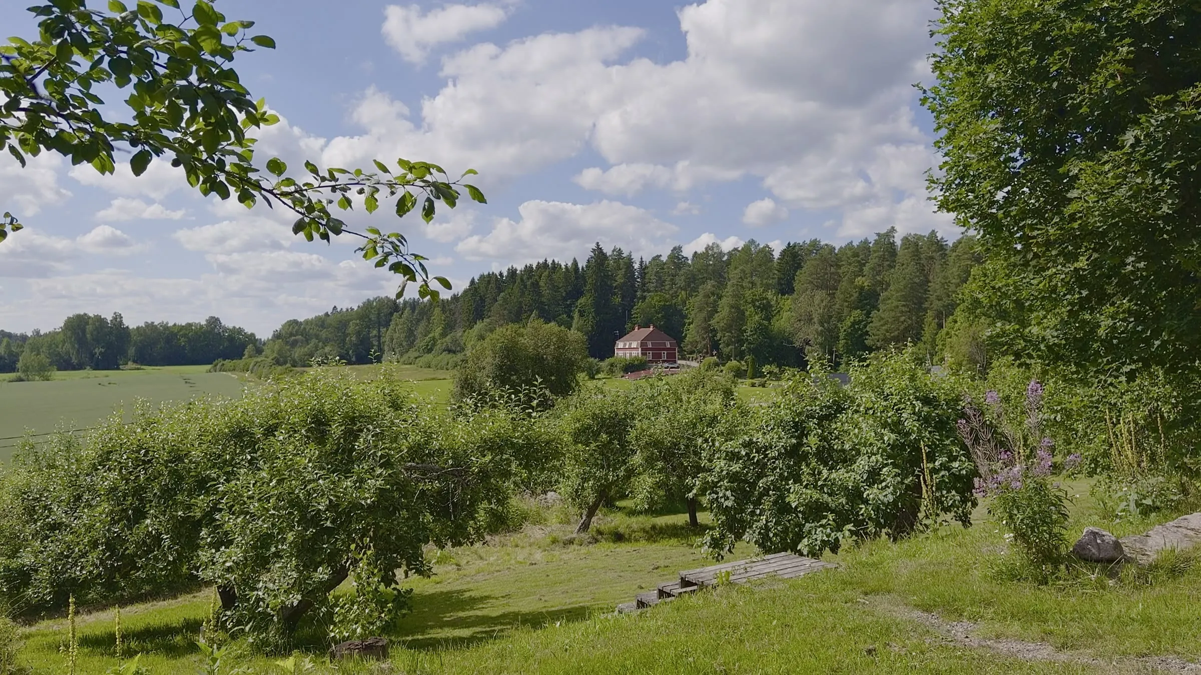 Video: langsamer Schwenk von der Terrasse in Launonen über Obstbäume und Felder bis zu einem roten Haus am Waldrand