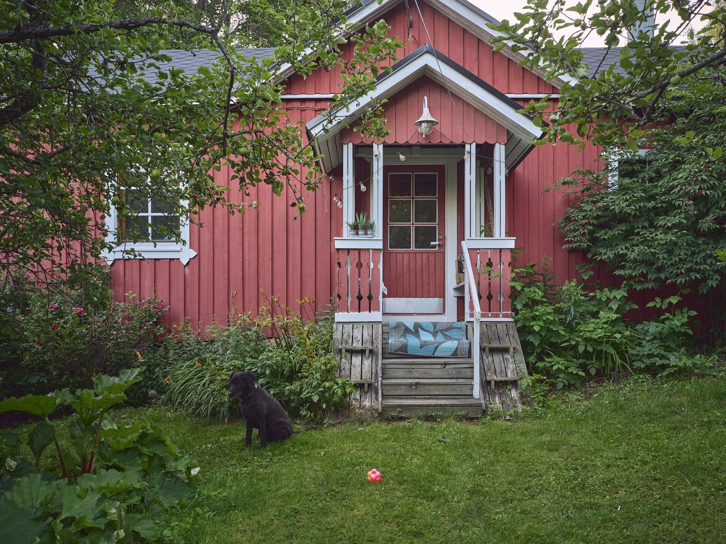 Rotes Holzhaus mit weißer Verandatreppe, davor sitzt ein schwarzer Hund im Gras