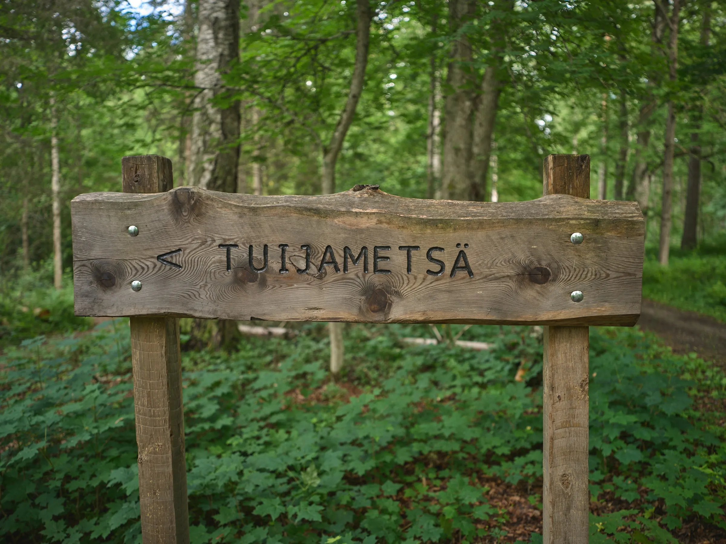 Handgeschnitztes Holzschild mit der Aufschrift Tuijametsä und einem Pfeil im grünen Wald